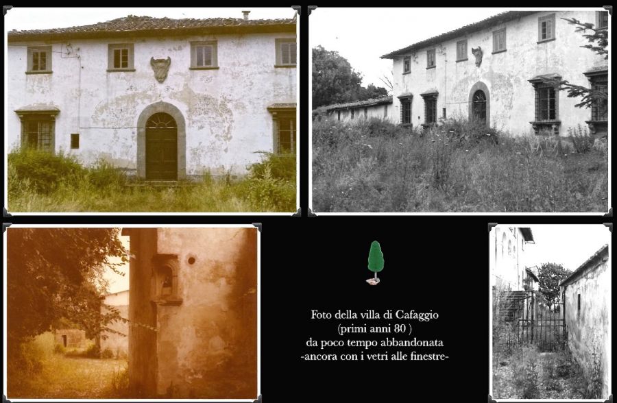 villa cafaggio.jpg